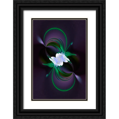 Columbine flower-Colorado Black Ornate Wood Framed Art Print with Double Matting by Jones, Adam