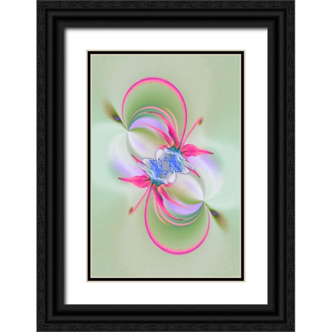 Columbine flower-Colorado Black Ornate Wood Framed Art Print with Double Matting by Jones, Adam