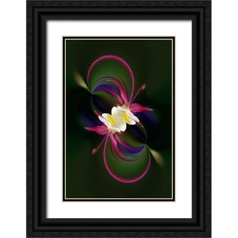 Columbine flower-Colorado Black Ornate Wood Framed Art Print with Double Matting by Jones, Adam