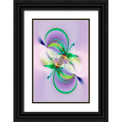 Columbine flower-Colorado Black Ornate Wood Framed Art Print with Double Matting by Jones, Adam