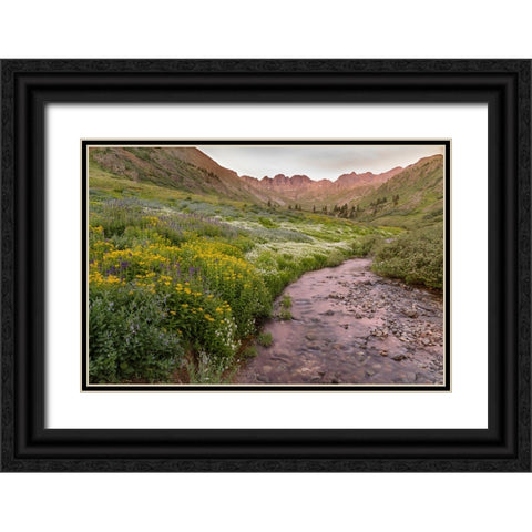 USA-Colorado Mountain landscape with wildflowers and stream Black Ornate Wood Framed Art Print with Double Matting by Jaynes Gallery