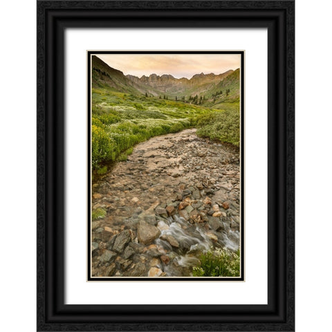 USA-Colorado Mountain landscape with wildflowers and stream Black Ornate Wood Framed Art Print with Double Matting by Jaynes Gallery