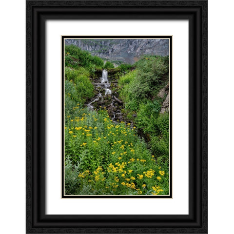 USA-Colorado-Uncompahgre National Forest Mountain landscape with waterfall and wildflowers Black Ornate Wood Framed Art Print with Double Matting by Jaynes Gallery