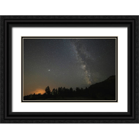 USA-Colorado-Eleven Mile Canyon The Milky Way galaxy and forest silhouette at night Black Ornate Wood Framed Art Print with Double Matting by Jaynes Gallery