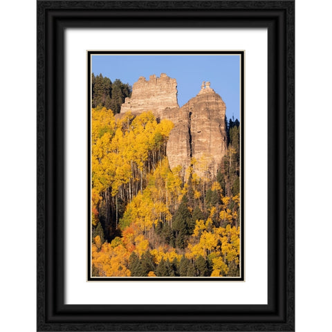 USA-Colorado-Uncompahgre National Forest Pinnacle Ridge towers over aspens in autumn Black Ornate Wood Framed Art Print with Double Matting by Jaynes Gallery