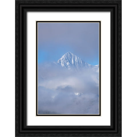 USA-Colorado-Uncompahgre National Forest Autumn sunrise on foggy Wilson Peak Black Ornate Wood Framed Art Print with Double Matting by Jaynes Gallery