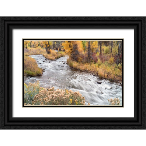 USA-Colorado-White River National Forest Fryingpan River and autumn foliage Black Ornate Wood Framed Art Print with Double Matting by Jaynes Gallery