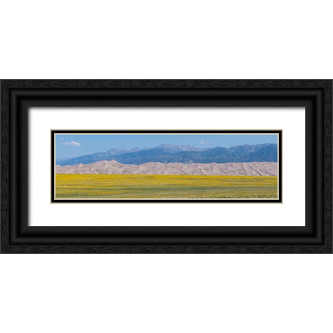 USA-Colorado-San Luis Valley-Great Sand Dunes National Park Black Ornate Wood Framed Art Print with Double Matting by Hopkins, Cindy Miller