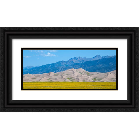 USA-Colorado-San Luis Valley-Great Sand Dunes National Park Black Ornate Wood Framed Art Print with Double Matting by Hopkins, Cindy Miller