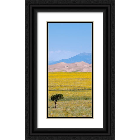 USA-Colorado-San Luis Valley-Great Sand Dunes National Park Black Ornate Wood Framed Art Print with Double Matting by Hopkins, Cindy Miller