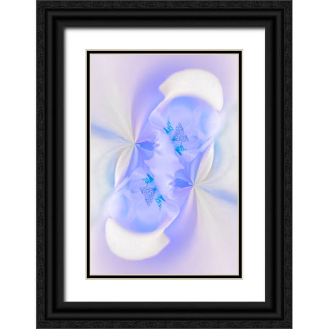 White Orchid flower-Florida Black Ornate Wood Framed Art Print with Double Matting by Jones, Adam
