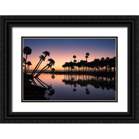 Sable palms silhouetted at sunrise on the Econlockhatchee River Black Ornate Wood Framed Art Print with Double Matting by Jones, Adam