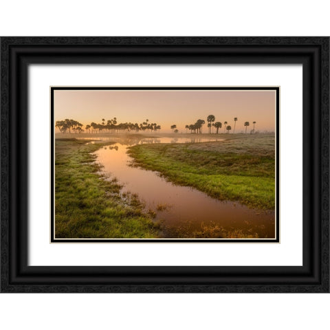 Sable palms silhouetted at sunrise on the Econlockhatchee River Black Ornate Wood Framed Art Print with Double Matting by Jones, Adam