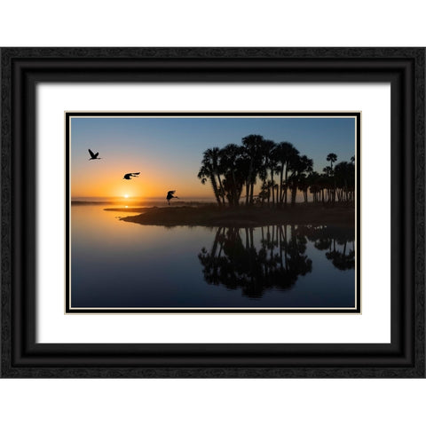 Sable palms silhouetted at sunrise on the Econlockhatchee River Black Ornate Wood Framed Art Print with Double Matting by Jones, Adam