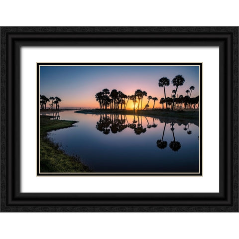 Sable palms silhouetted at sunrise on the Econlockhatchee River Black Ornate Wood Framed Art Print with Double Matting by Jones, Adam