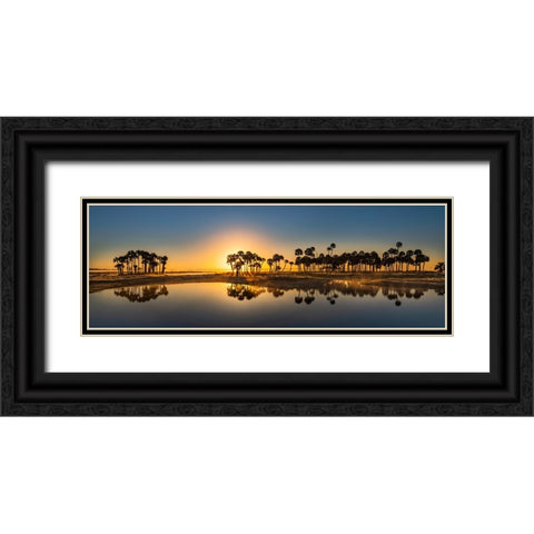 Sable palms silhouetted at sunrise on the Econlockhatchee River Black Ornate Wood Framed Art Print with Double Matting by Jones, Adam