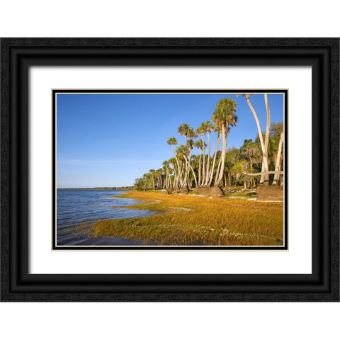 Sable palm tree trunks along shoreline of Harney Lake at sunset-Florida Black Ornate Wood Framed Art Print with Double Matting by Jones, Adam