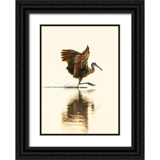Perspective Image