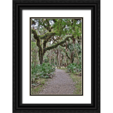 USA-Florida-Sarasota-Myakka River State Park Black Ornate Wood Framed Art Print with Double Matting by Looney, Hollice
