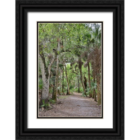 USA-Florida-Sarasota-Myakka River State Park Black Ornate Wood Framed Art Print with Double Matting by Looney, Hollice