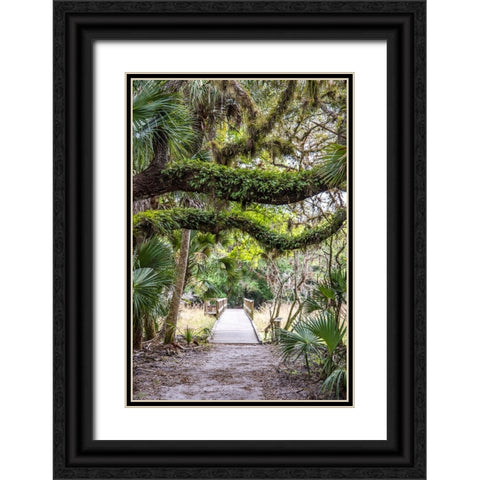 USA-Florida-Sarasota-Myakka River State Park Black Ornate Wood Framed Art Print with Double Matting by Looney, Hollice