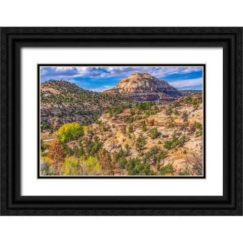 Colorful Autumn-Canyonlands National Park-Needles District-Utah Black Ornate Wood Framed Art Print with Double Matting by Perry, William