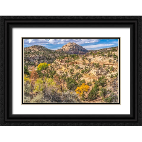 Colorful Autumn-Canyonlands National Park-Needles District-Utah Black Ornate Wood Framed Art Print with Double Matting by Perry, William