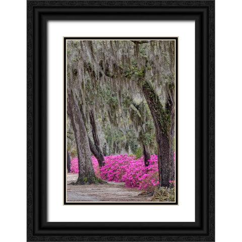 Bonaventure Cemetery-Georgia-Savannah Black Ornate Wood Framed Art Print with Double Matting by Jones, Adam