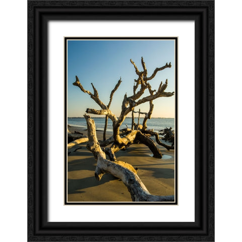 USA-Jekyll Island Black Ornate Wood Framed Art Print with Double Matting by Theodore, George and Marilu