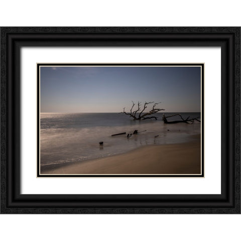 USA-Georgia-Jekyll Island-Sunset at Driftwood Beach and the petrified trees Black Ornate Wood Framed Art Print with Double Matting by Looney, Hollice