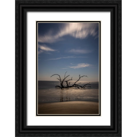 USA-Georgia-Jekyll Island-Sunset at Driftwood Beach and the petrified trees Black Ornate Wood Framed Art Print with Double Matting by Looney, Hollice