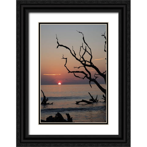 USA-Georgia-Jekyll Island-Sunrise on Driftwood Beach of petrified trees Black Ornate Wood Framed Art Print with Double Matting by Looney, Hollice