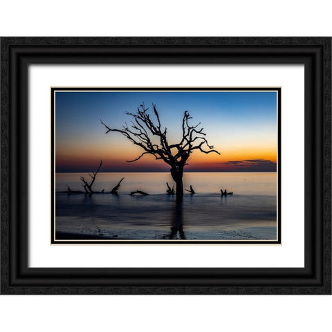 USA-Georgia-Jekyll Island-Sunrise on Driftwood Beach of petrified trees Black Ornate Wood Framed Art Print with Double Matting by Looney, Hollice