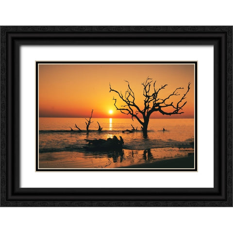 USA-Georgia-Jekyll Island-Sunrise on Driftwood Beach of petrified trees Black Ornate Wood Framed Art Print with Double Matting by Looney, Hollice