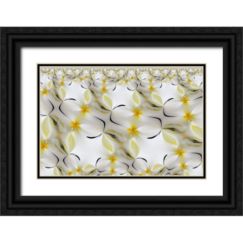 Plumerias a genus of flowering plants in the dogbane family-Maui-Hawaii Black Ornate Wood Framed Art Print with Double Matting by Jones, Adam