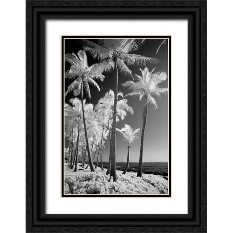 USA-Hawaii-Kauai-Infrared of palm trees of Kauai Black Ornate Wood Framed Art Print with Double Matting by Eggers, Terry