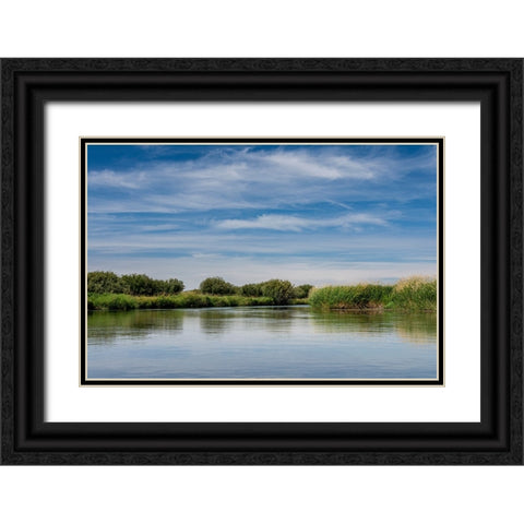 USA-Idaho-Teton River-willows and wetland near Driggs Black Ornate Wood Framed Art Print with Double Matting by Garber, Howie