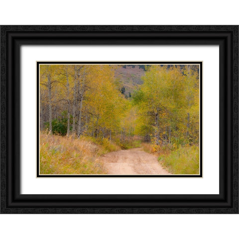 USA-Idaho-Highway 36 west of Liberty dirt road and Aspens in autumn Black Ornate Wood Framed Art Print with Double Matting by Gulin, Sylvia