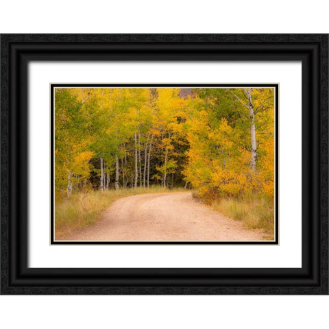USA-Idaho-Highway 36 west of Liberty dirt road and Aspens in autumn Black Ornate Wood Framed Art Print with Double Matting by Gulin, Sylvia