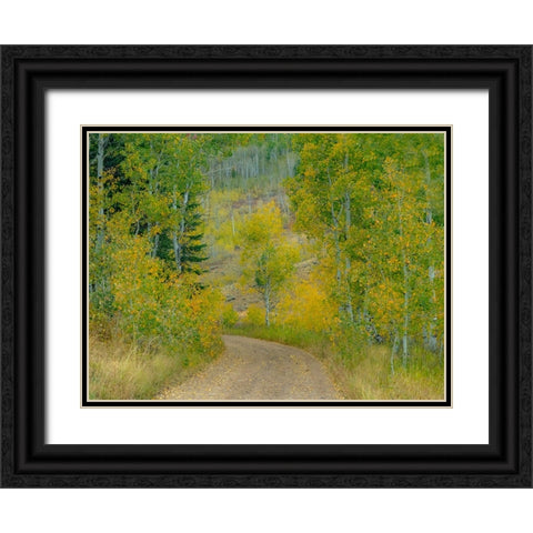 USA-Idaho-Highway 36 west of Liberty dirt road and Aspens in autumn Black Ornate Wood Framed Art Print with Double Matting by Gulin, Sylvia