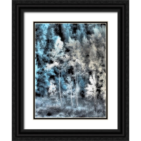 USA-Idaho-Aspens a with soft focus Black Ornate Wood Framed Art Print with Double Matting by Eggers, Terry
