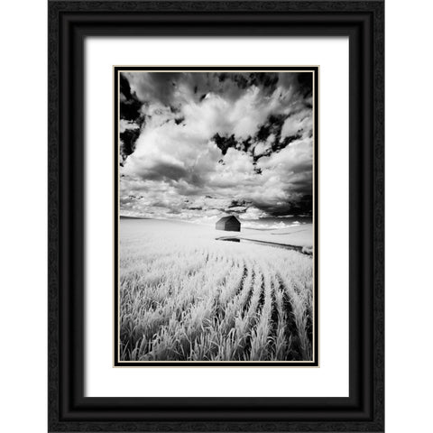 Infrared Palouse fields and barn-PR Black Ornate Wood Framed Art Print with Double Matting by Eggers, Terry