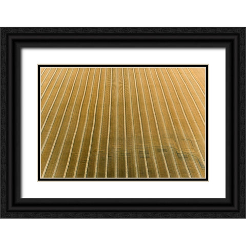 Aerial view of rows of wheat straw before baling-Marion County-Illinois Black Ornate Wood Framed Art Print with Double Matting by Day, Richard and Susan
