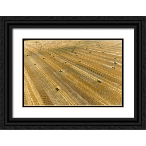 Aerial view of large square bales of wheat straw in field-Clay County-Illinois Black Ornate Wood Framed Art Print with Double Matting by Day, Richard and Susan