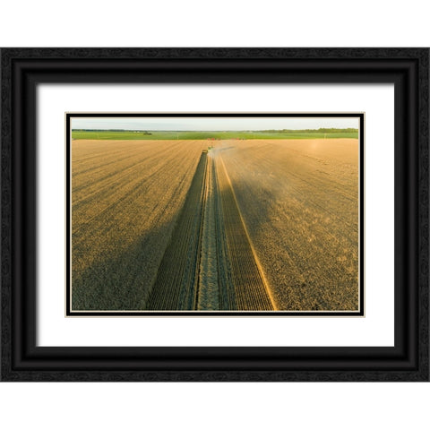 Aerial view of combine harvesting wheat at sunset-Marion County-Illinois Black Ornate Wood Framed Art Print with Double Matting by Day, Richard and Susan