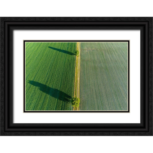 Perspective Image