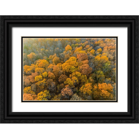 Aerial view of fall color-Marion County-Illinois Black Ornate Wood Framed Art Print with Double Matting by Day, Richard and Susan