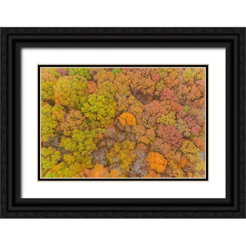 Aerial view of fall color-Marion County-Illinois Black Ornate Wood Framed Art Print with Double Matting by Day, Richard and Susan