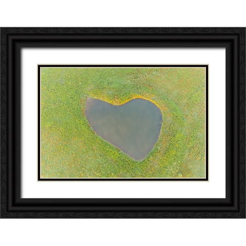 Heart shaped pond-Marion County-Illinois Black Ornate Wood Framed Art Print with Double Matting by Day, Richard and Susan