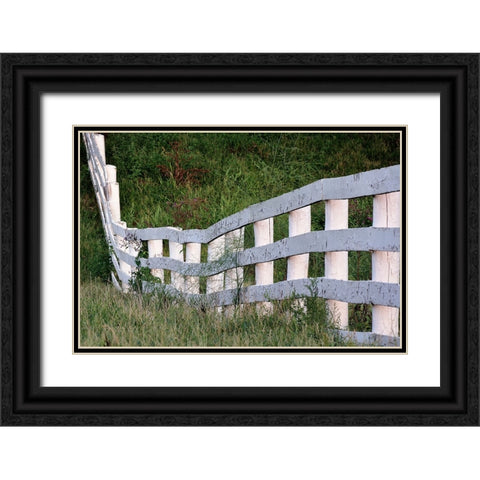 White wooden fence across rolling hill-Shaker Village of Pleasant Hill-Harrodsburg-Kentucky Black Ornate Wood Framed Art Print with Double Matting by Jones, Adam